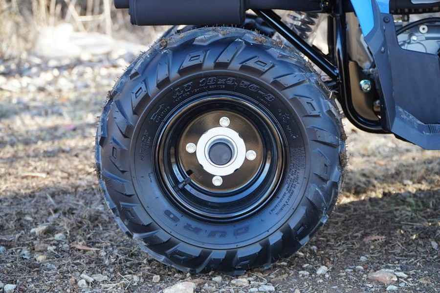 2026 Polaris® Sportsman 110