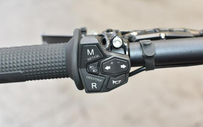 2025 79 FALCON GT - 79 BIKE