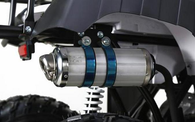 2026 Tao Motor Bull 200S
