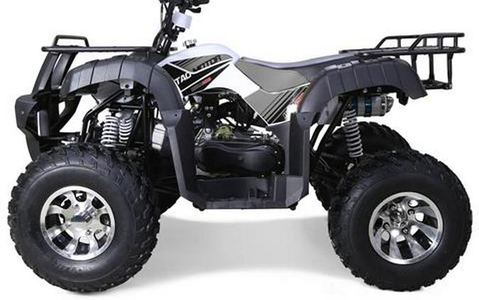 2026 Tao Motor Bull 200S