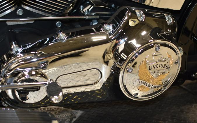 2009 Harley-Davidson Softail Deluxe FLSTN