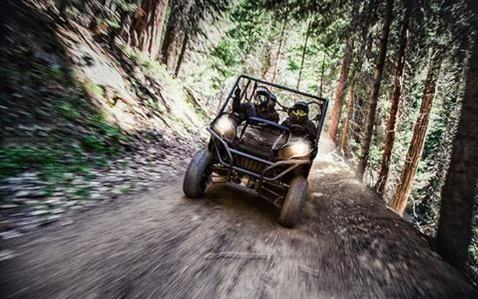 2017 Kawasaki Teryx4