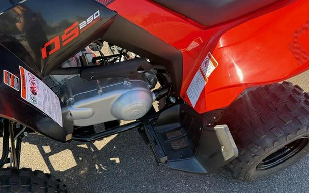 2026 Can-Am DS 250