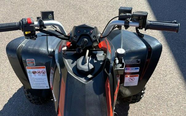 2026 Can-Am DS 250