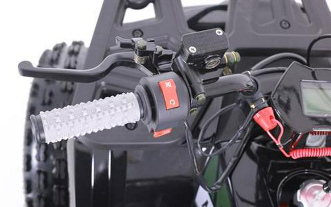 2026 Tao Motor MudHawk 10
