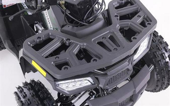 2026 Tao Motor MudHawk 10