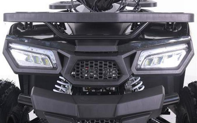 2026 Tao Motor MudHawk 10