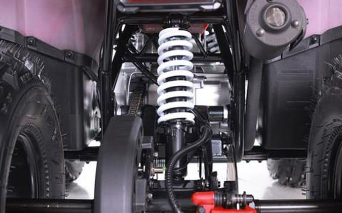 2026 Tao Motor MudHawk 10