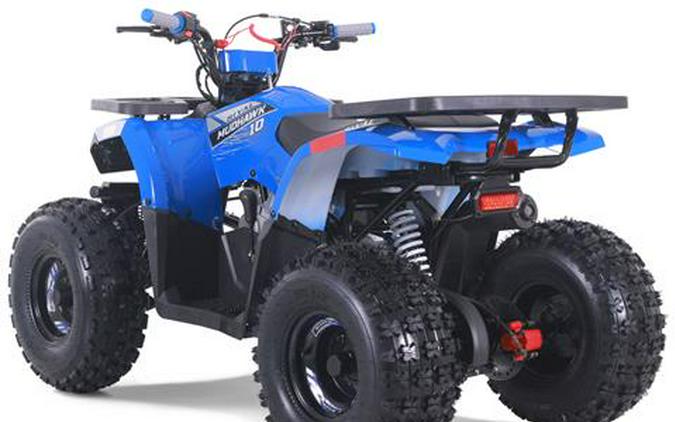 2026 Tao Motor MudHawk 10