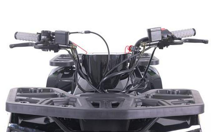 2026 Tao Motor MudHawk 10