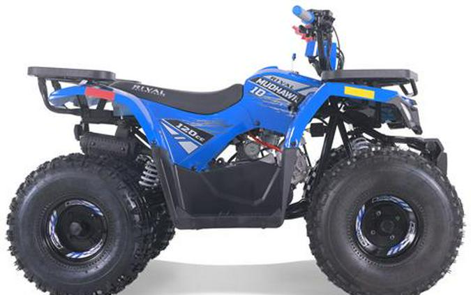 2026 Tao Motor MudHawk 10