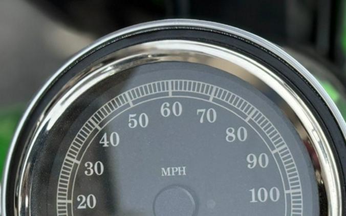 2015 Harley-Davidson FLSTFB - Softail Fat Boy Lo