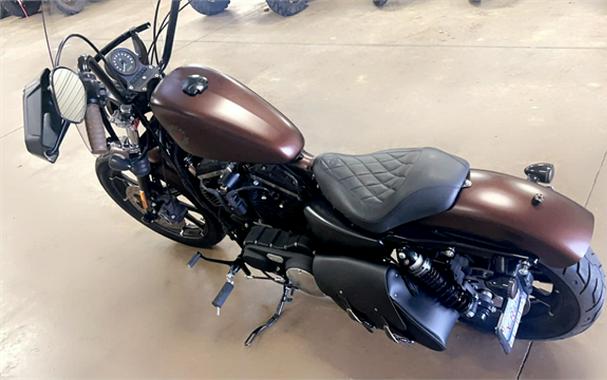 2019 Harley-Davidson Iron 883