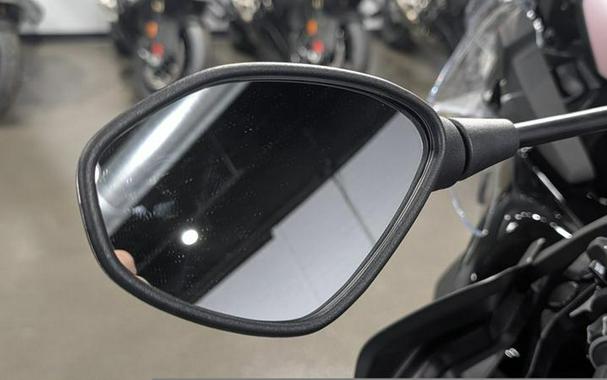 2025 BMW F 900 GS Adventure Black Storm Metallic