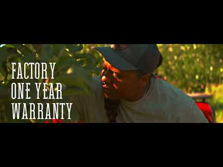 2026 Denago Powersports Freelander 300FI