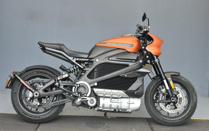 2020 Harley-Davidson LiveWire First Ride