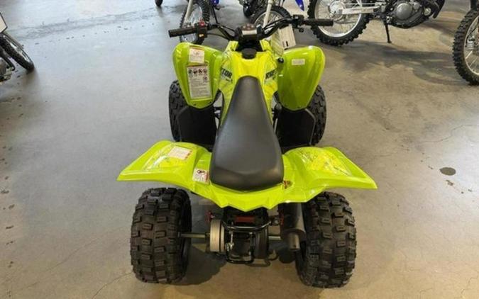 2026 Yamaha Raptor 110
