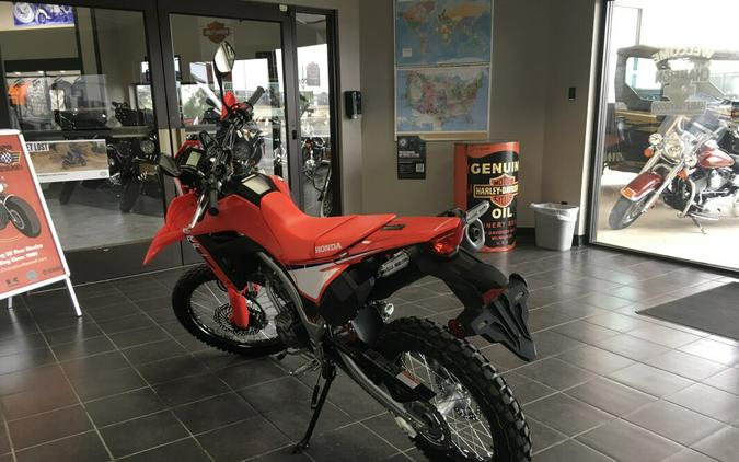 CRF300L