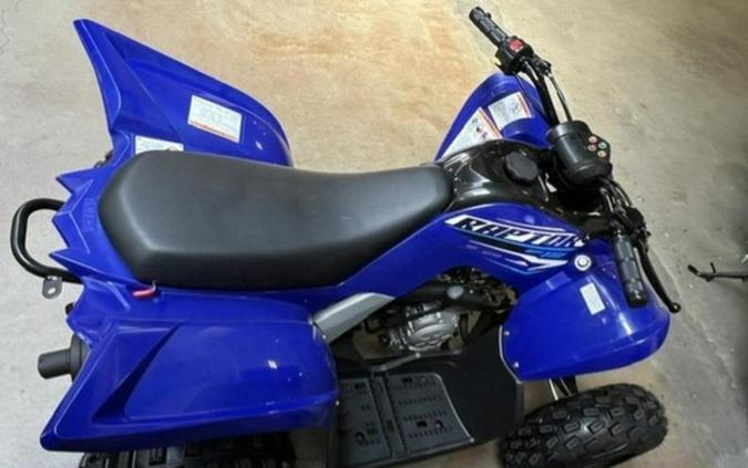 2026 Yamaha Raptor 110