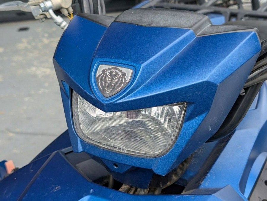 2019 Yamaha Grizzly EPS SE