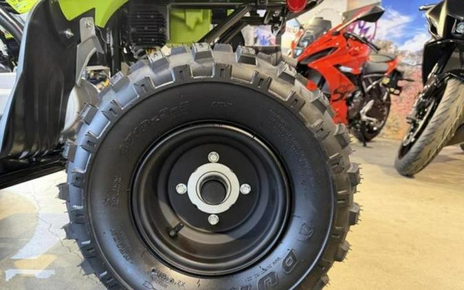 2026 Yamaha Raptor 110