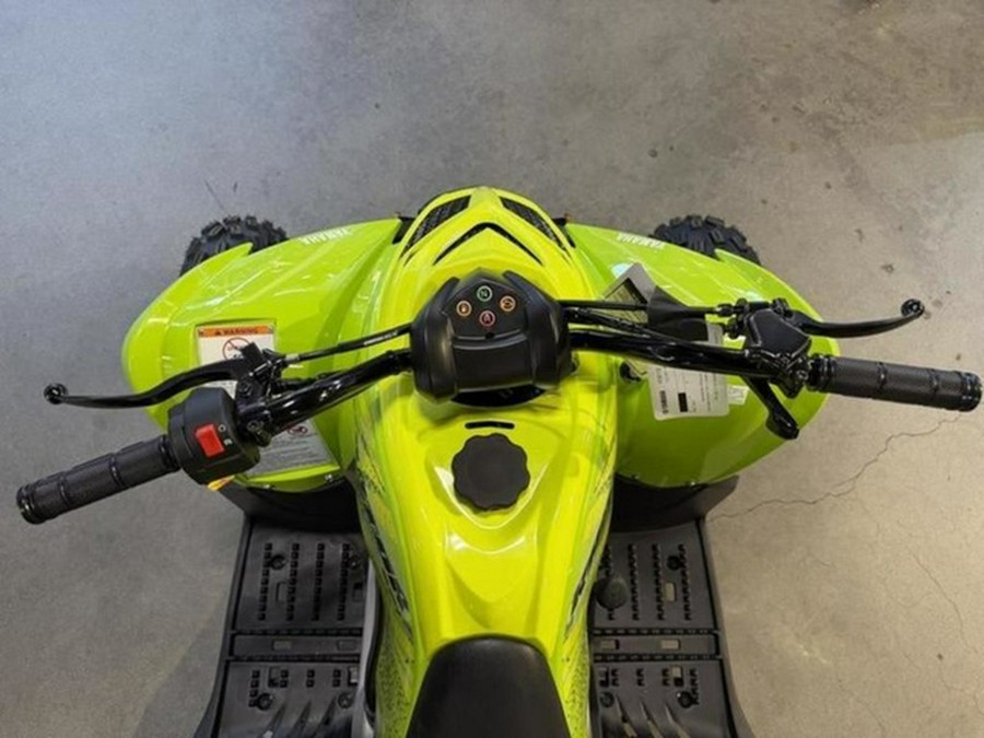 2026 Yamaha Raptor 110