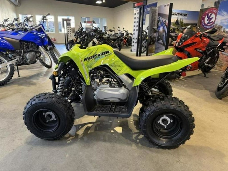 2026 Yamaha Raptor 110