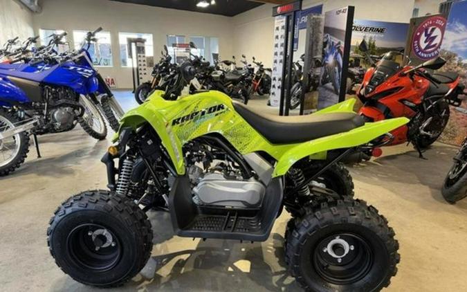2026 Yamaha Raptor 110