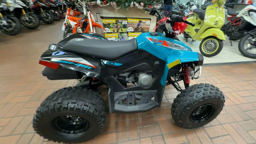 2026 Can-Am RENEGADE 110 EFI