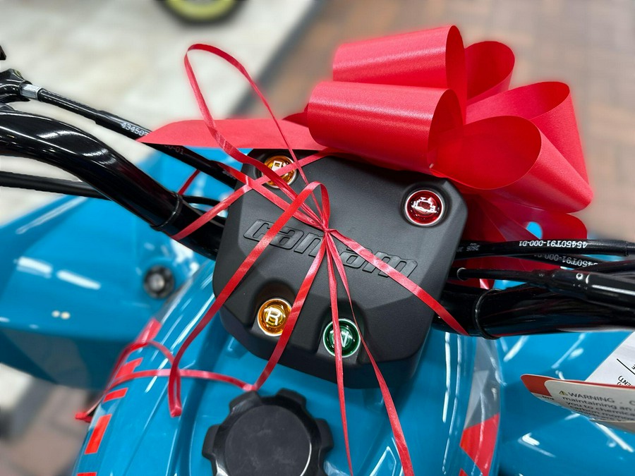 2026 Can-Am RENEGADE 110 EFI