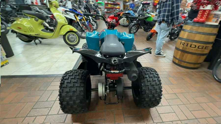 2026 Can-Am RENEGADE 110 EFI