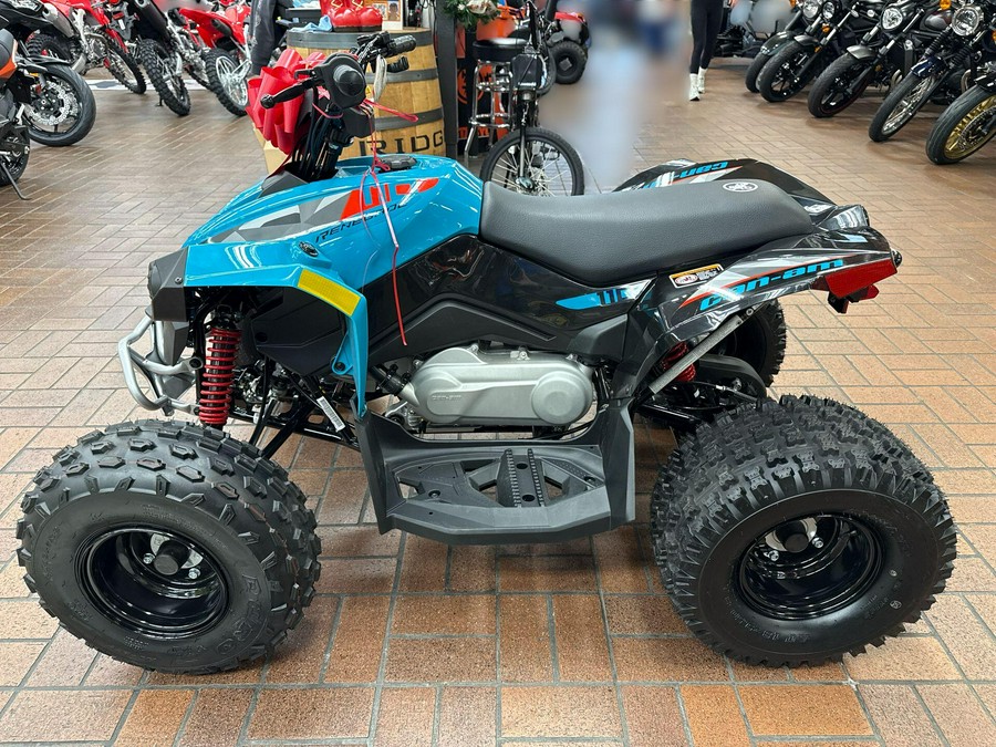 2026 Can-Am RENEGADE 110 EFI