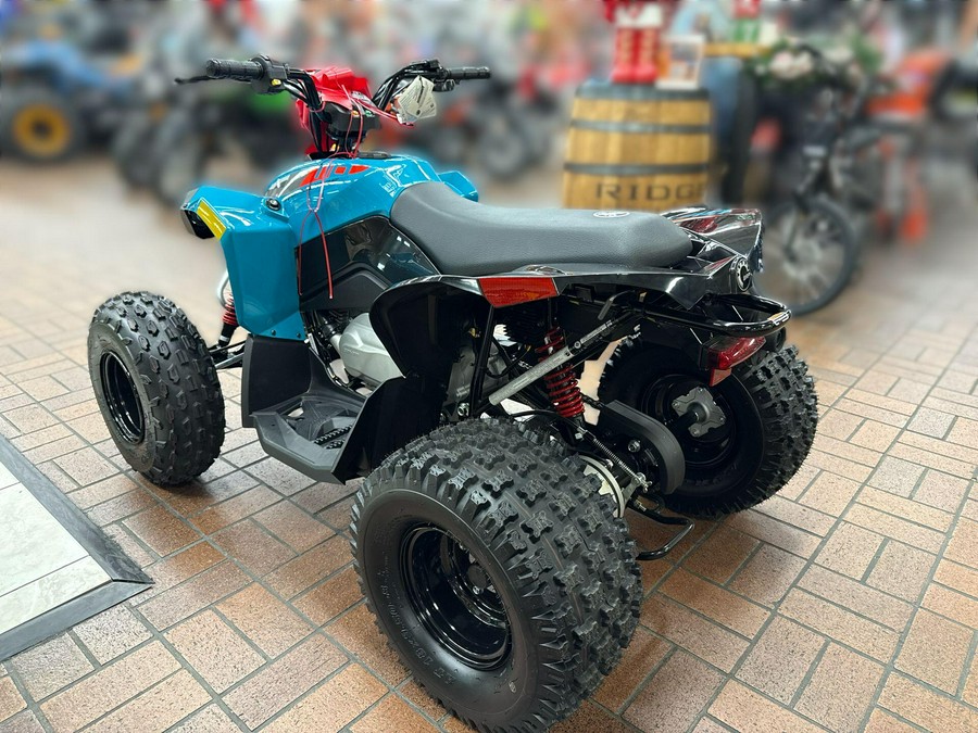 2026 Can-Am RENEGADE 110 EFI