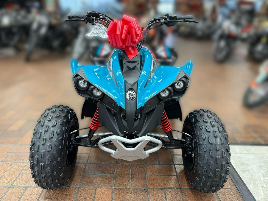 2026 Can-Am RENEGADE 110 EFI