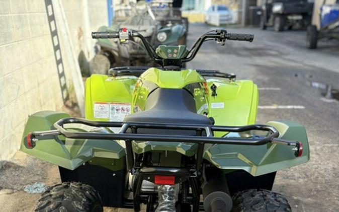 2026 Yamaha Grizzly 110