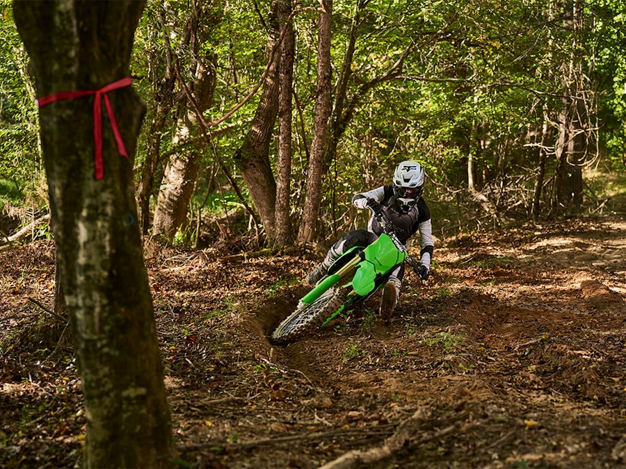 2026 Kawasaki KX 450X Lime Green - 110045