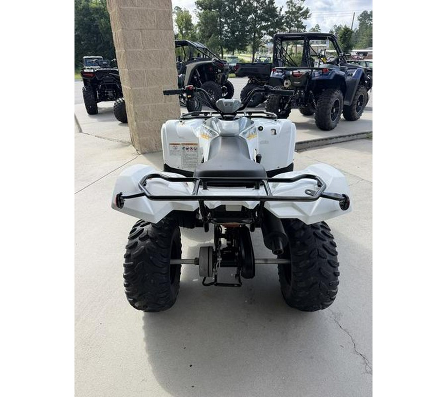 2024 Yamaha Grizzly 90