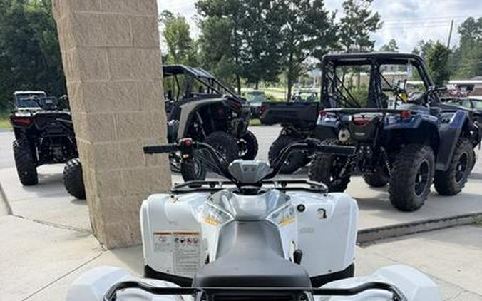 2024 Yamaha Grizzly 90