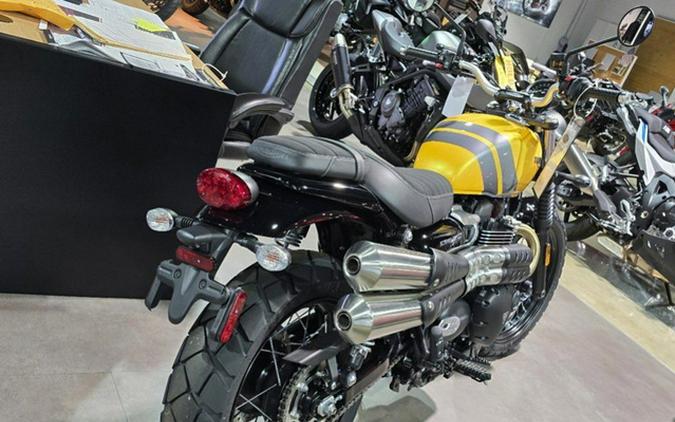 2024 Triumph Scrambler 900 Cosmic Yellow/Graphite