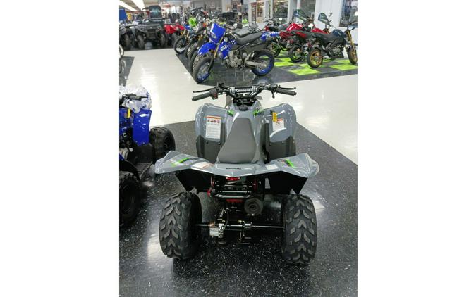 2024 Kawasaki KFX 50