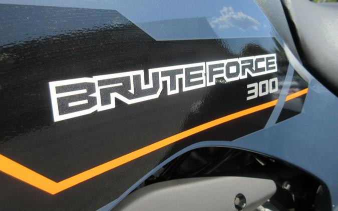 2025 Kawasaki Brute Force 300