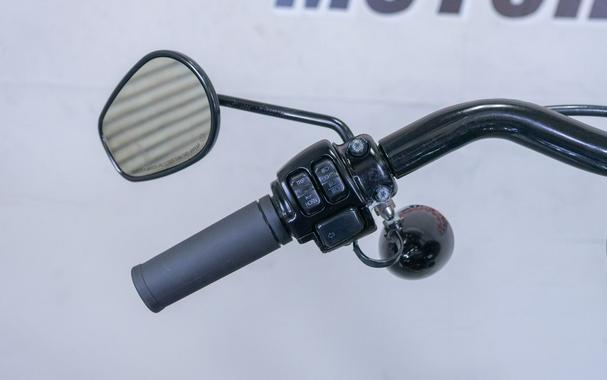 2015 Harley-Davidson Dyna Street Bob