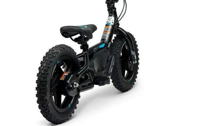2025 Stacyc 12eDRIVE