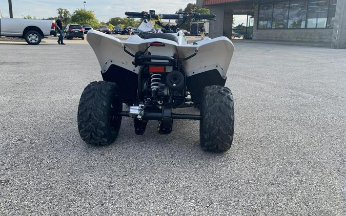 2027 Kawasaki KFX50