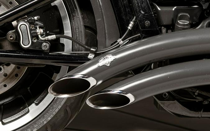 2020 Harley-Davidson Fat Boy 114 30th Anniversary