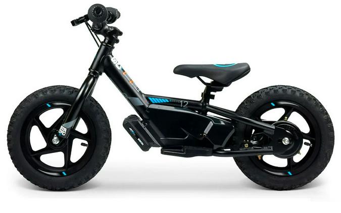 2025 Stacyc 12eDRIVE