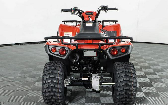 2024 Kawasaki Brute Force® 300