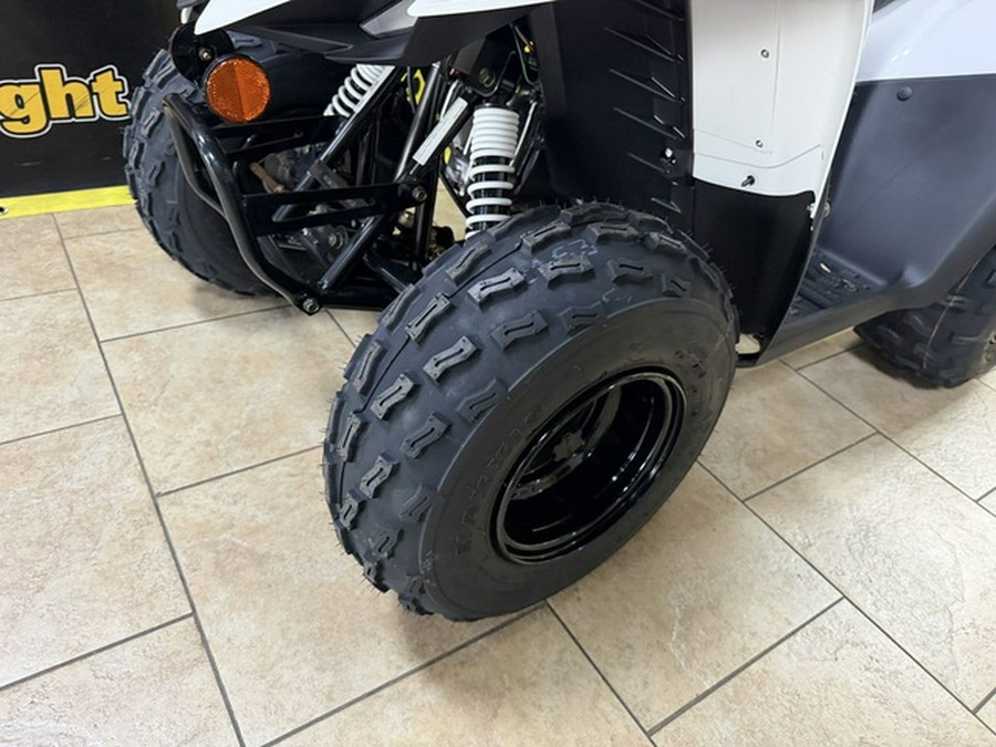 2027 Kawasaki KFX 90