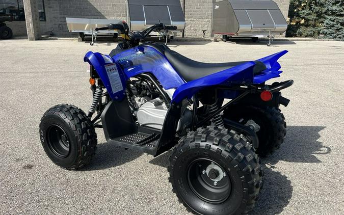 2024 Yamaha Raptor 110