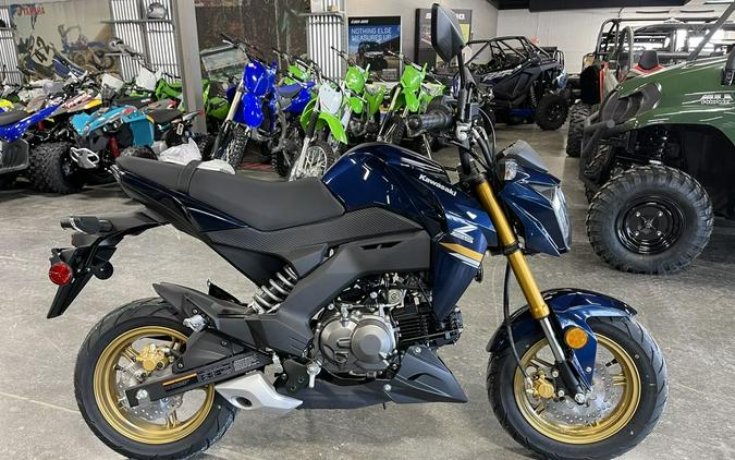 2023 Kawasaki Z125 PRO